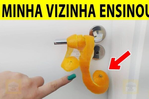 Você não acredita o que acontece quando se coloca casca de laranja atrás da porta