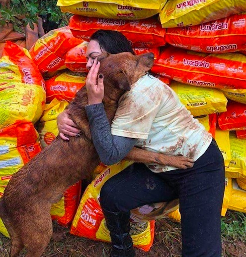 Cachorro “abraça” mulher que doou alimentos para seu abrigo